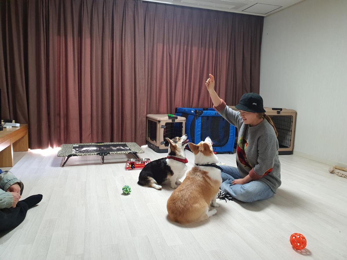 Hi Jeju Hotel Εξωτερικό φωτογραφία