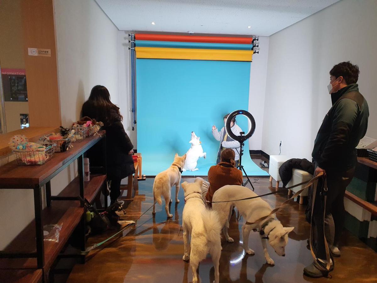 Hi Jeju Hotel Εξωτερικό φωτογραφία
