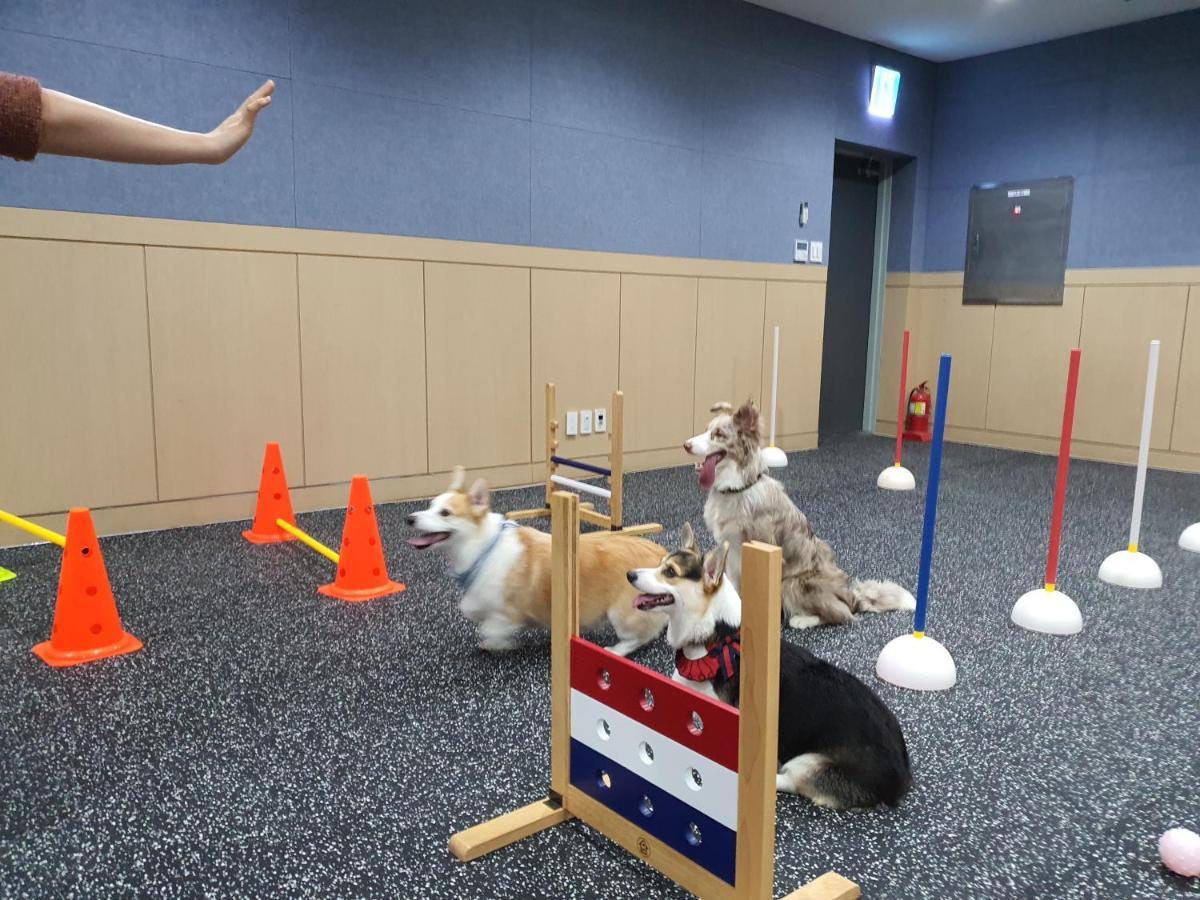 Hi Jeju Hotel Εξωτερικό φωτογραφία