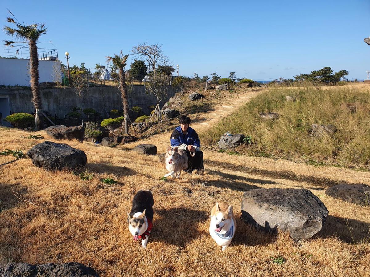 Hi Jeju Hotel Εξωτερικό φωτογραφία