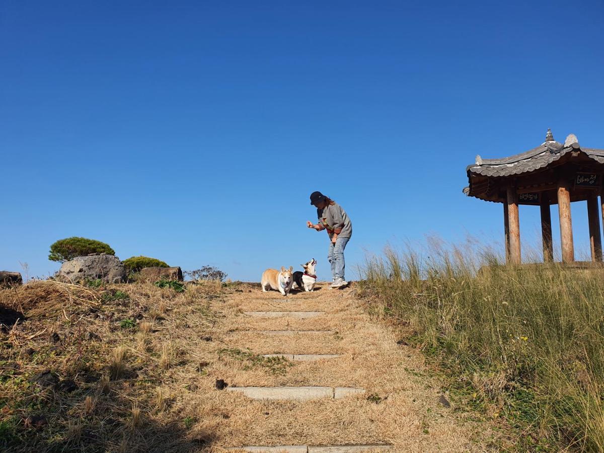 Hi Jeju Hotel Εξωτερικό φωτογραφία