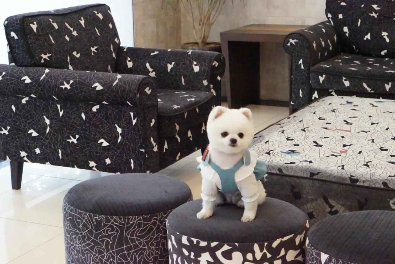 Hi Jeju Hotel Εξωτερικό φωτογραφία